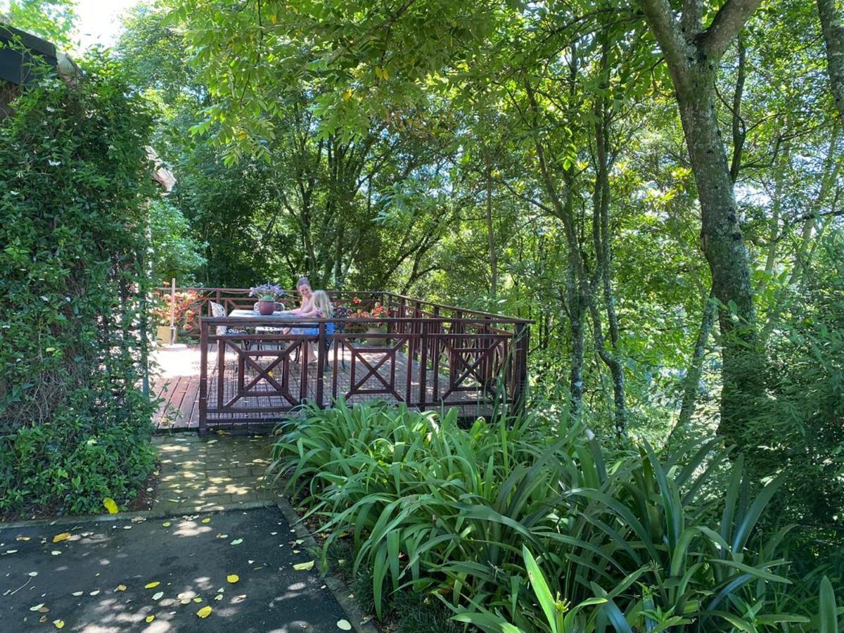 Cabbage Tree Cottage Hilton Exterior photo