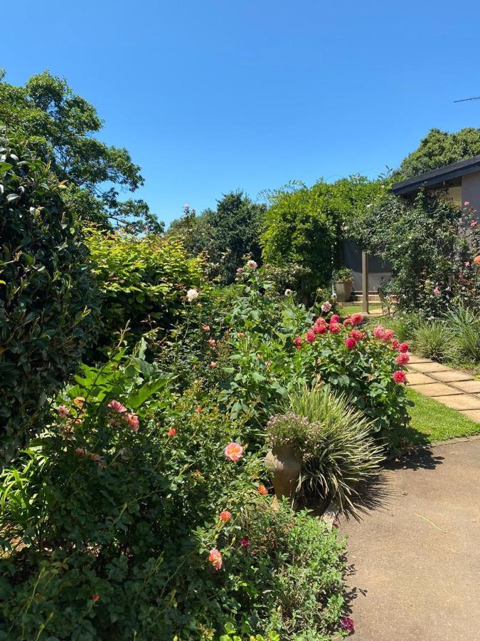 Cabbage Tree Cottage Hilton Exterior photo