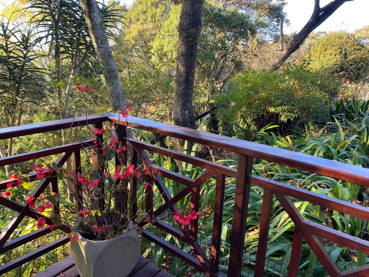 Cabbage Tree Cottage Hilton Exterior photo